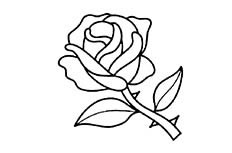 带刺的玫瑰花简笔画图片 玫瑰花怎么画