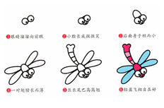 蜻蜓简笔画步骤图片_漂亮的蜻蜓怎么画