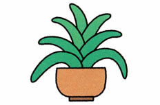 君子兰植物简笔画图片 君子兰怎么画