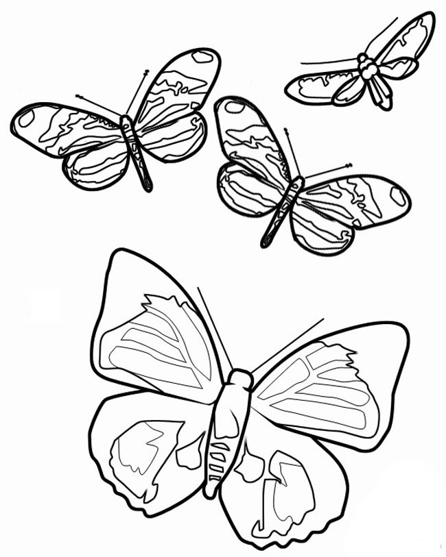 飞舞的蝴蝶简笔画步骤图片大全