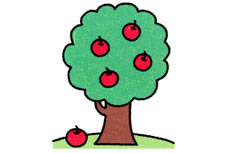 苹果树简笔画图片大全 苹果树怎么画