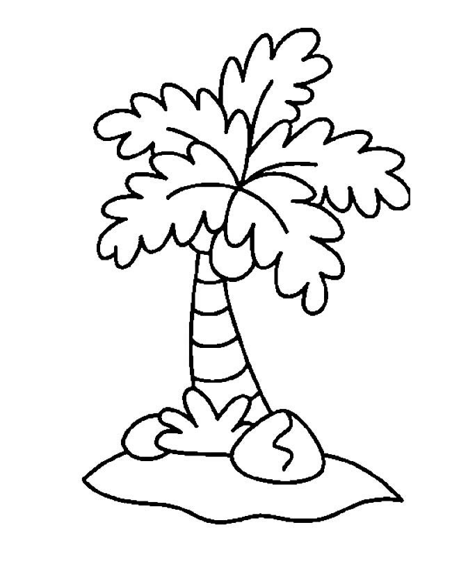 椰子树怎么画_椰子树简笔画