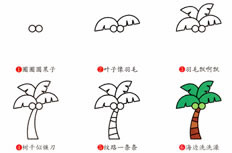 椰子树简笔画步骤图 椰子树怎么画