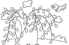柳树简笔画图片 漂亮的柳树怎么画