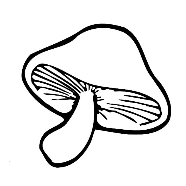 蘑菇简笔画图片 蘑菇简单画法