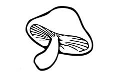 蘑菇简笔画图片 蘑菇简单画法
