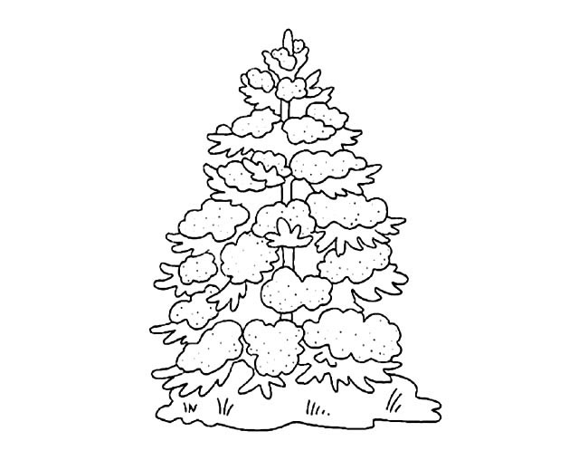 圣诞节松树简笔画图片