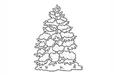 圣诞节松树简笔画图片