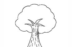 简单好看的树简笔画图片 大树怎么画
