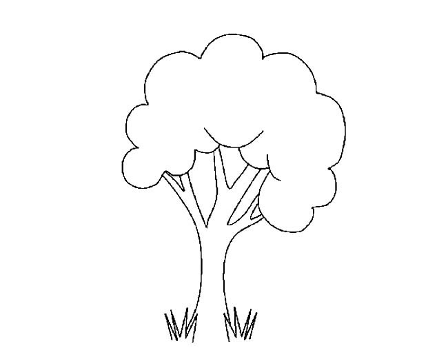 树的简笔画 简单好看的树简笔画图片