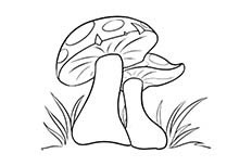 蘑菇蔬菜简笔画 蘑菇怎么画