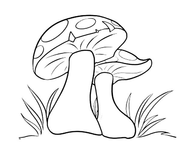 蘑菇蔬菜简笔画 蘑菇怎么画