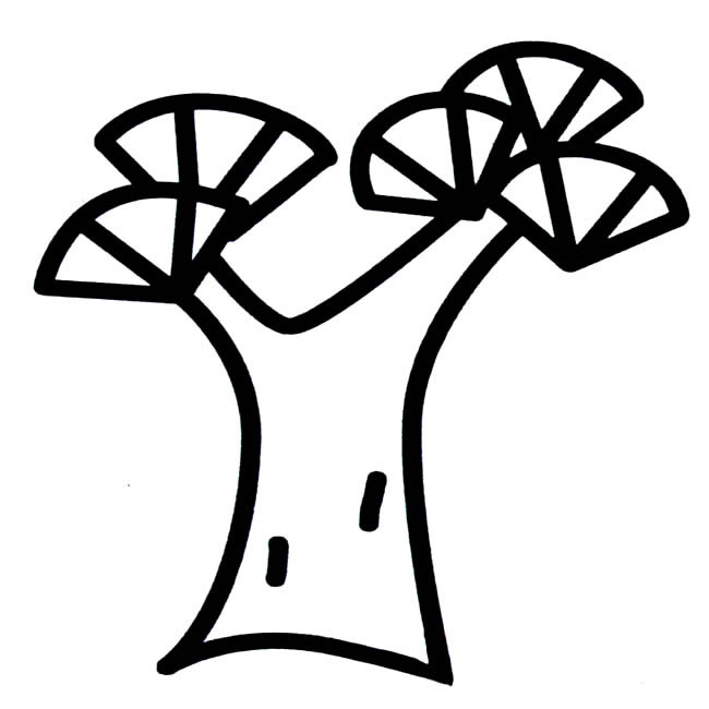 松树植物简笔画图片怎么画