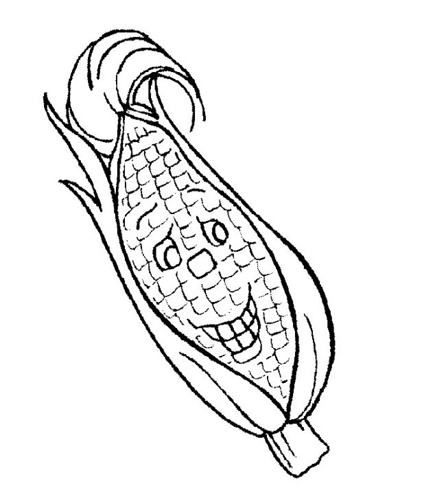 玉米简笔画_卡通玉米怎么画