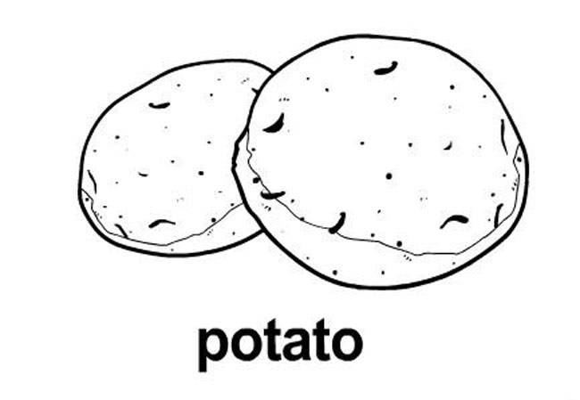 马铃薯怎么画_土豆简笔画图片
