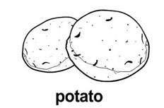 马铃薯怎么画_土豆简笔画图片
