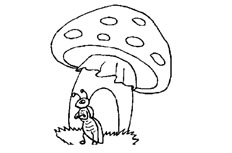 蚂蚁蘑菇房子简笔画步骤图片大全