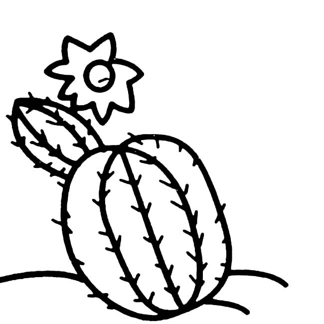 仙人球植物简笔画图片 仙人球怎么画