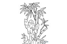 假山竹子植物简笔画步骤图片大全
