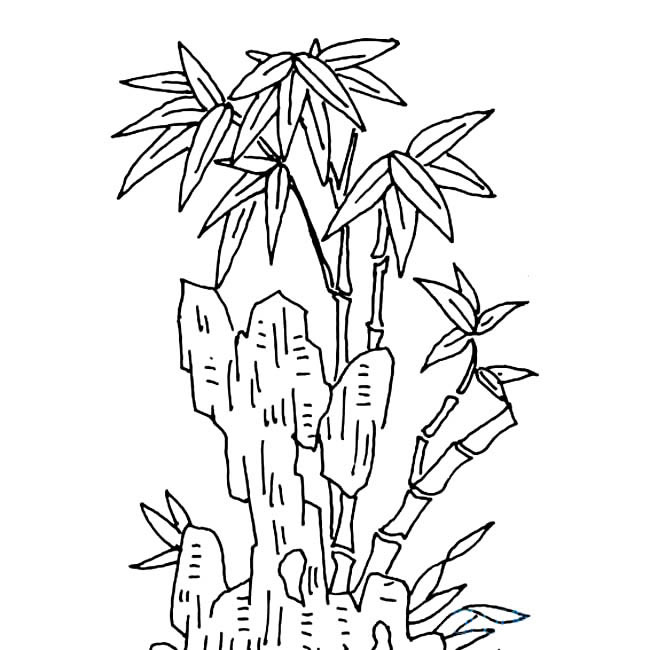 假山竹子植物简笔画步骤图片大全