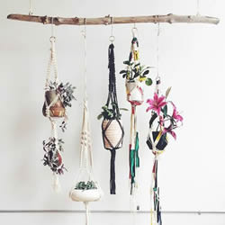 让家中的盆栽多点特色 自制吊挂式绳架的方法