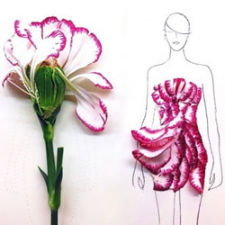 让简单素描变身时尚女郎 创意花瓣拼画DIY