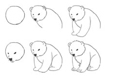 小熊简笔画图片大全 小熊怎么画