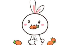 吃胡萝卜的兔子简笔画图片 吃胡萝卜的兔子怎么画