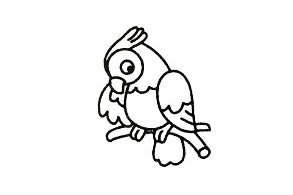 彩色小鹦鹉的简笔画步骤教程