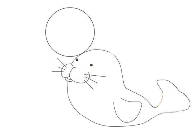 海豹顶皮球怎么画