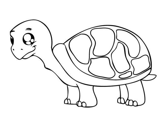 卡通乌龟的简笔画图片 乌龟怎么画