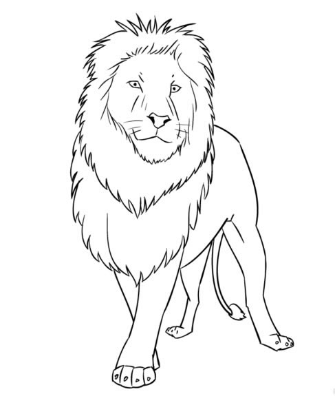 卡通狮子简笔画图片 狮子怎么画