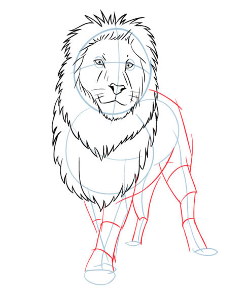 卡通狮子简笔画图片 狮子怎么画