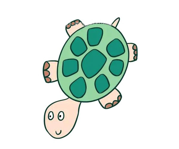 小乌龟彩色画怎么画
