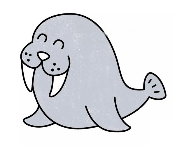 海豹简笔画图片 海豹怎么画