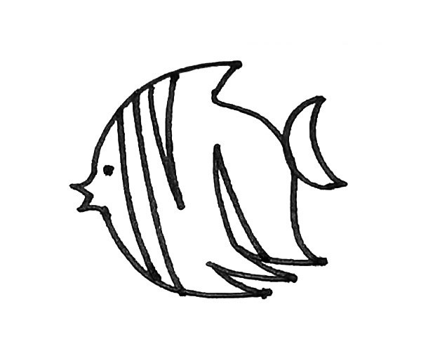 热带鱼简笔画图片 热带鱼怎么画