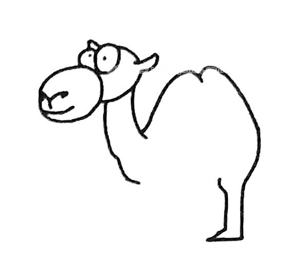 骆驼简笔画图片怎么画