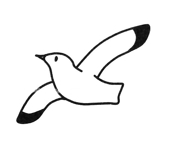 4款可爱的海鸥简笔画图片怎么画