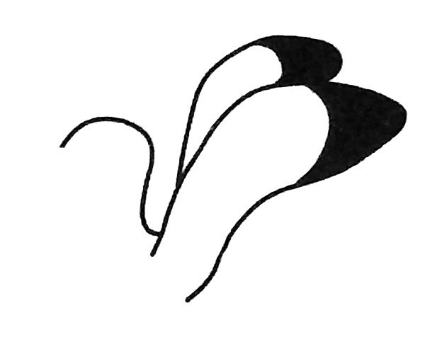 海鸥简笔画图片 海鸥怎么画