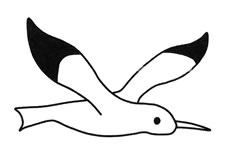 4款可爱的海鸥简笔画图片怎么画