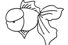 6款孔雀鱼简笔画图片 孔雀鱼怎么画