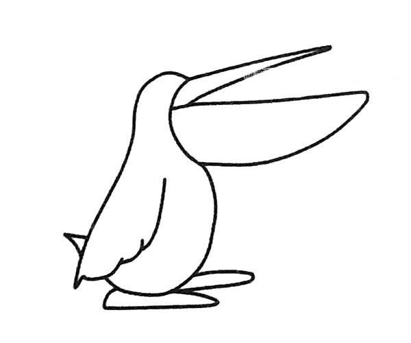 鹈鹕简笔画图片 鹈鹕怎么画