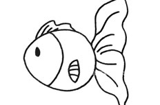 孔雀鱼简笔画图片 孔雀鱼怎么画