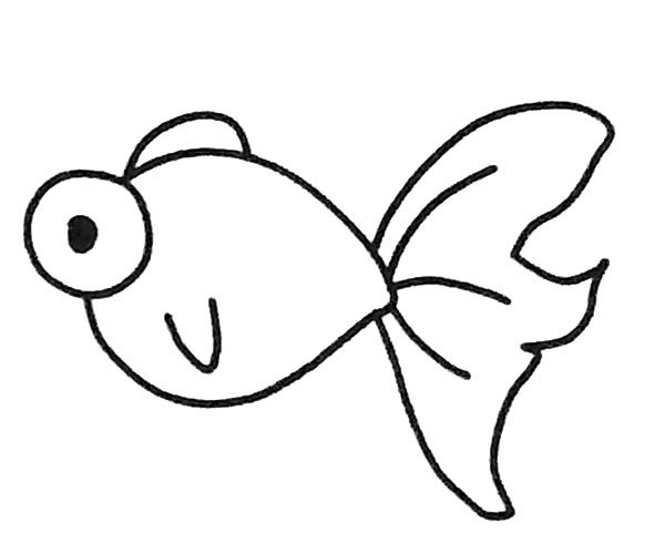 6款金鱼简笔画图片 金鱼怎么画
