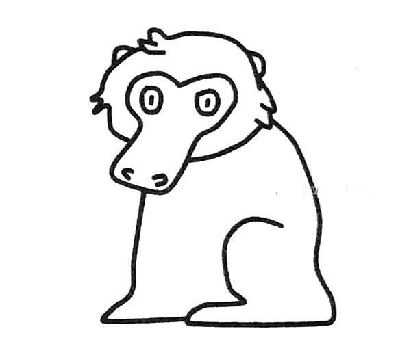 6款可爱的狒狒简笔画图片 狒狒怎么画