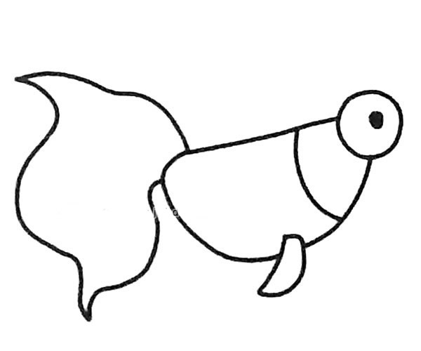 6款金鱼简笔画图片 金鱼怎么画