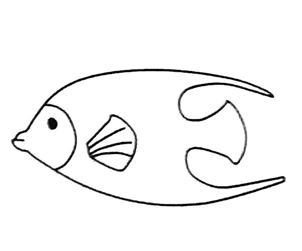 可爱的神仙鱼简笔画图片怎么画