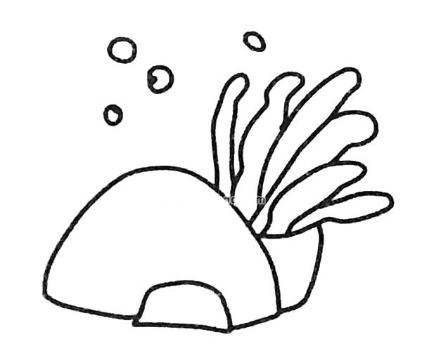6款卡通海葵简笔画图片 海葵怎么画