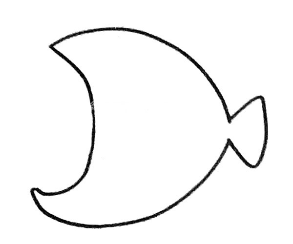 灯笼鱼简笔画图片 灯笼鱼怎么画