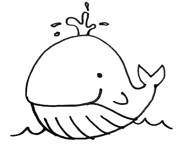 蓝色的鲸鱼简笔画图片 鲸鱼怎么画